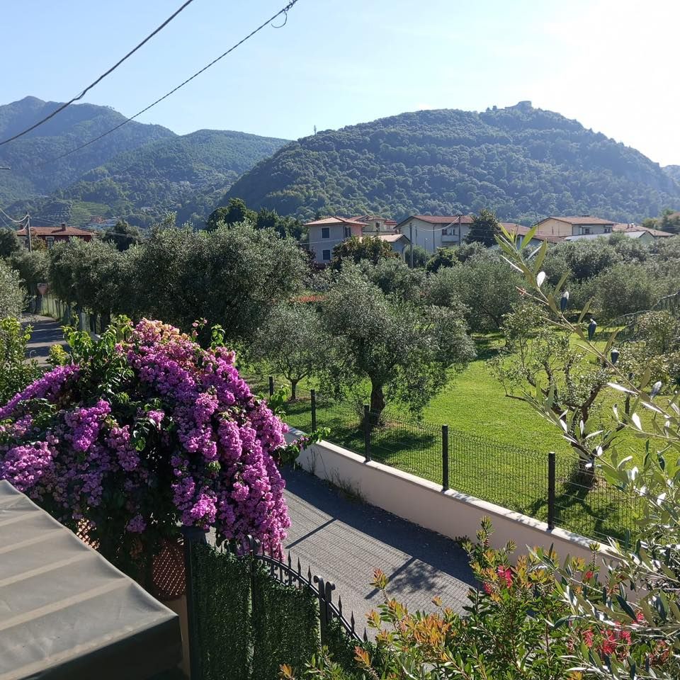 Casa Federica | Marina di Massa / Ronchi / Marina di Carrara - Case e ville - Riviera Apuana