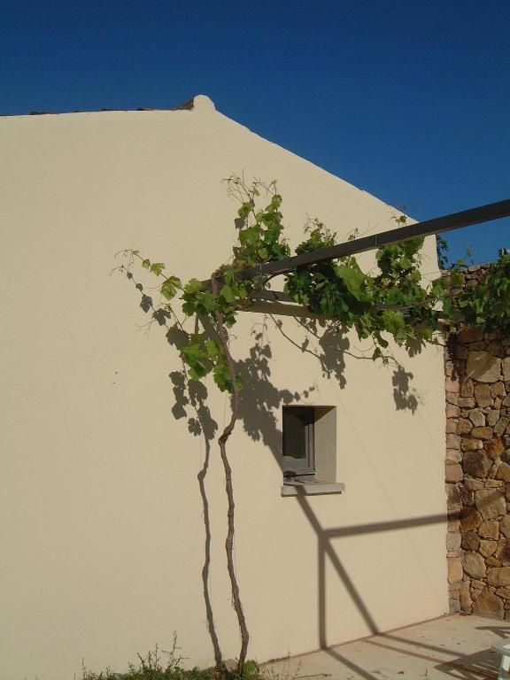 Tenuta Li Pireddi | Costa Paradiso Portobello Isola Rossa - Case & Ville di Pregio - Nord Sardegna