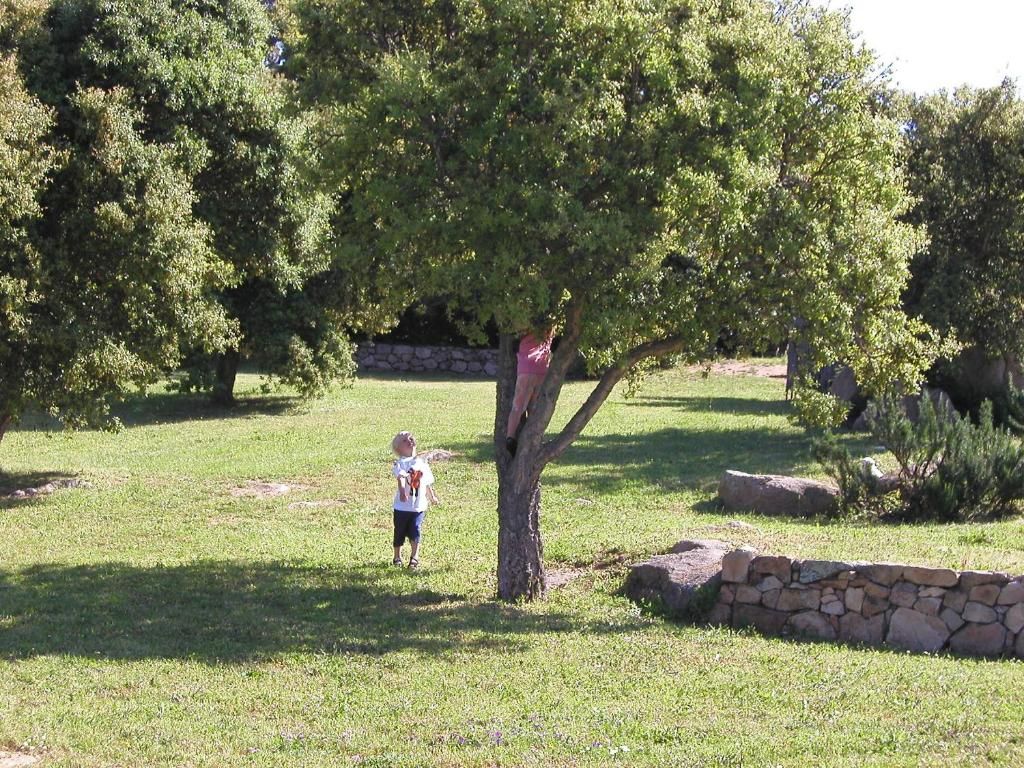 Tenuta Li Pireddi | Costa Paradiso Portobello Isola Rossa - Case & Ville di Pregio - Nord Sardegna