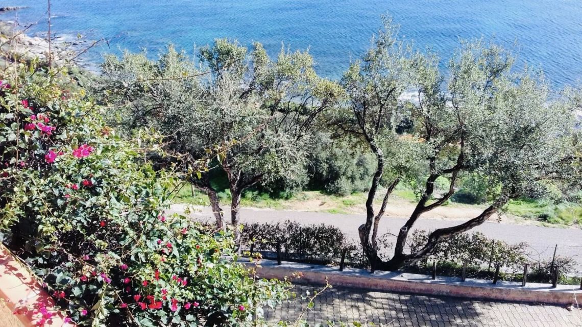 Villetta Corallo Rosa | Villasimius/Muravera/Costa Rei/Quartu Sant' Elena - Case e ville - Sardegna del Sud