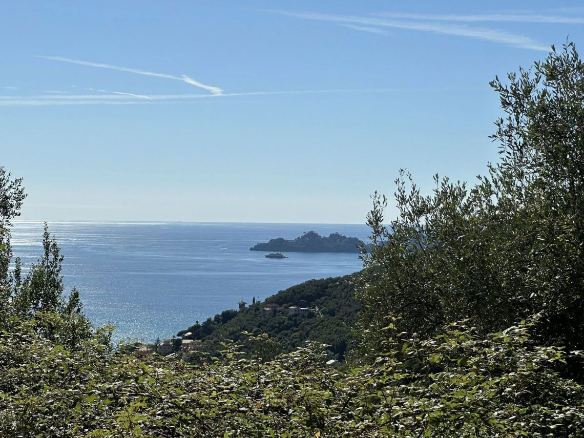Villa Panorama Portofino | Chiavari/Zoagli - Case e ville - Golfo del Tigullio