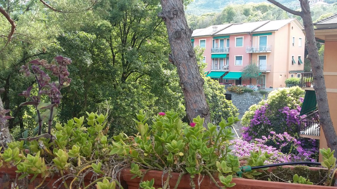 Appartamento del Porto | Rapallo / Santa Margherita Ligure / Portofino - Appartamenti - Golfo del Tigullio