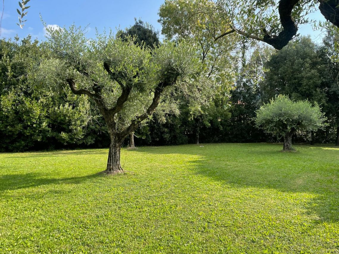 Villa Sorriso | Sarzana & Castelnuovo Magra - Case & Ville di Pregio - Lunigiana mare, Sarzana & Colline del Sole