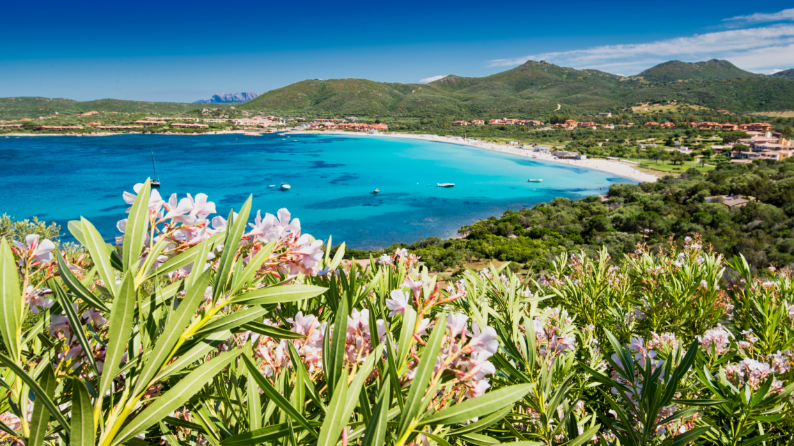 Villino Country | Porto Rotondo - Apartments - Costa Smeralda