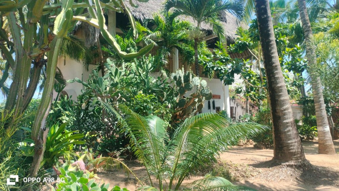 Villa Marica  | Watamu - Case e ville - Kenya & Zanzibar