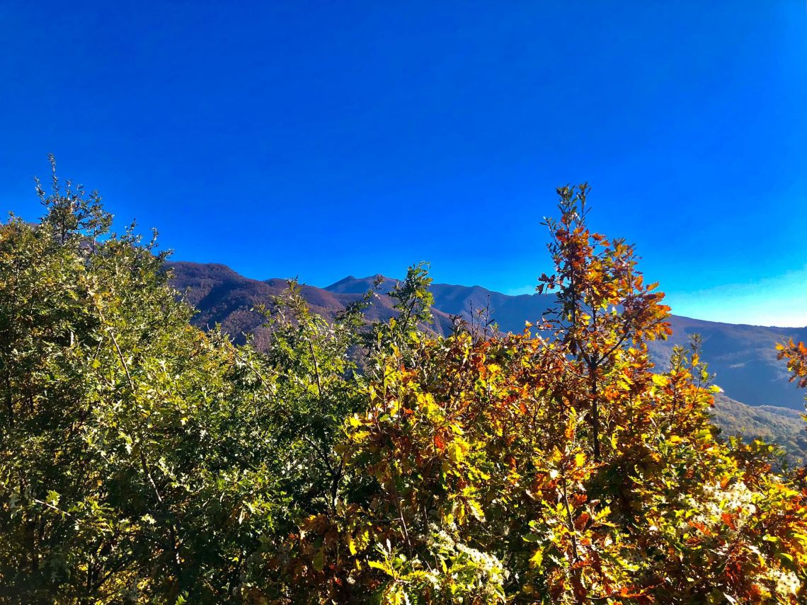 Casetta Sassalbo | Lunigiana Mare - Case e ville - Lunigiana mare, Sarzana & Colline del Sole