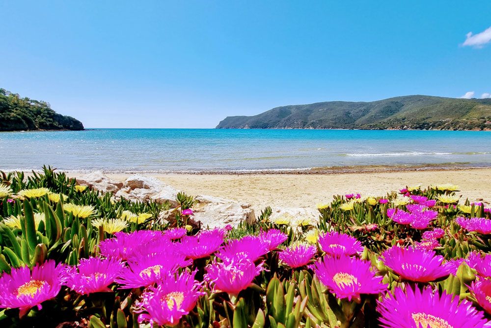 Villa Napoleone al Mare | Isola d' Elba - Case e ville - Isola d'Elba