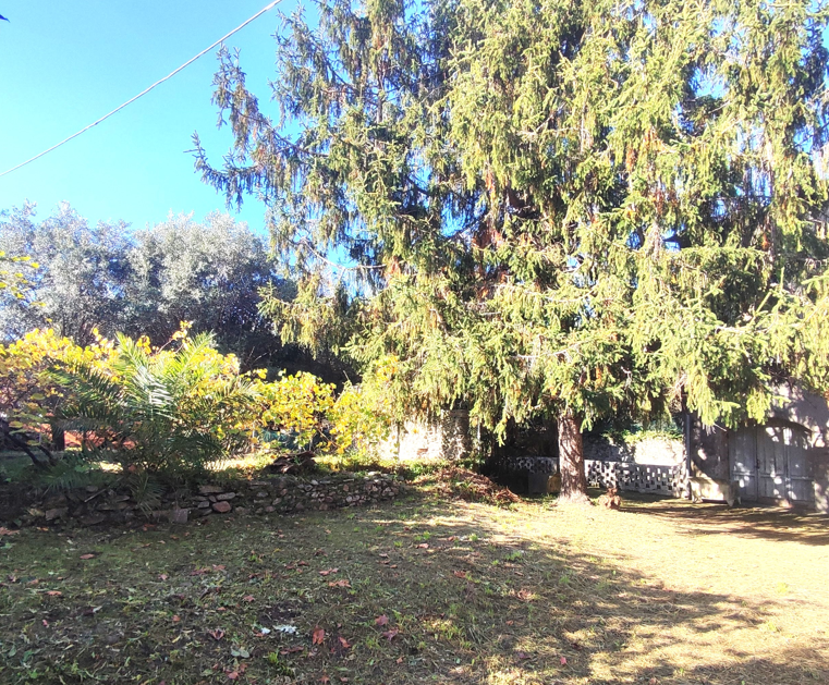 Il Casale di Querceta | Forte dei Marmi - Casali & Bed & Breakfast - Versilia