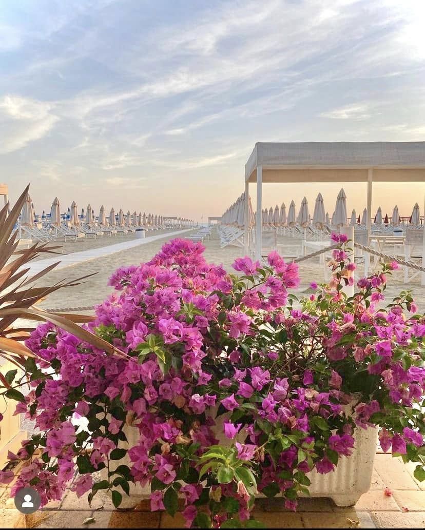 Villa Michelangelo | Marina di Pietrasanta - Case e ville - Versilia