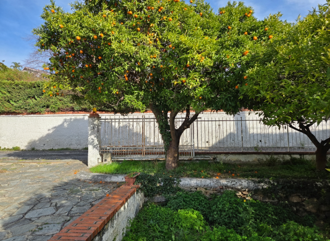 Villa Sabrina | Diano Marina  - Частные дома и виллы - Riviera di Ponente