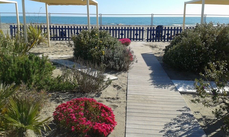 Appartamento Paradise Beach | Marina di Massa / Ronchi / Marina di Carrara - Апартаменты - Riviera Apuana