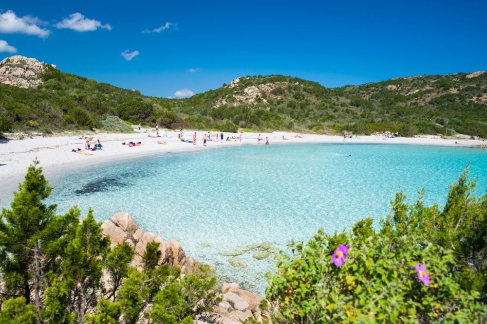 Tra Arzachena e Costa Smeralda | Baja Sardinia  - Appartamenti - Costa Smeralda