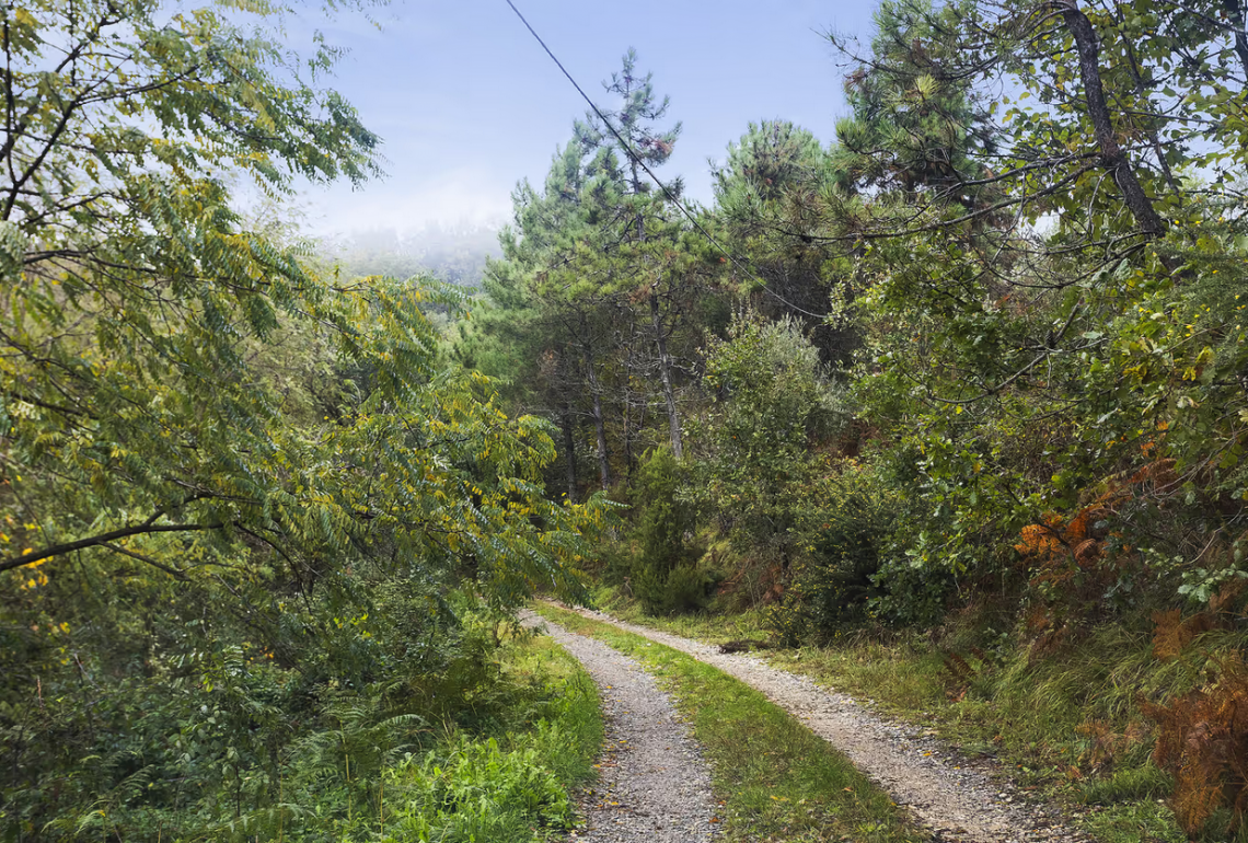 Antico Casale Collicello  | Камайор - Частные дома и виллы - Версилья