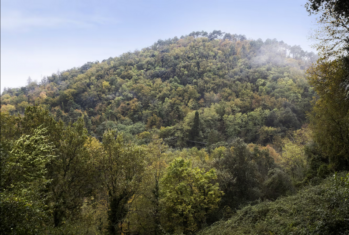 Antico Casale Collicello  | Камайор - Частные дома и виллы - Версилья