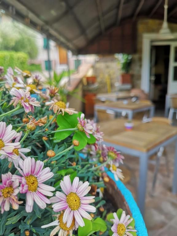 Hotel Locanda Miranda | Lerici/San Terenzo/Tellaro - Immobili Commerciali - Golfo dei Poeti