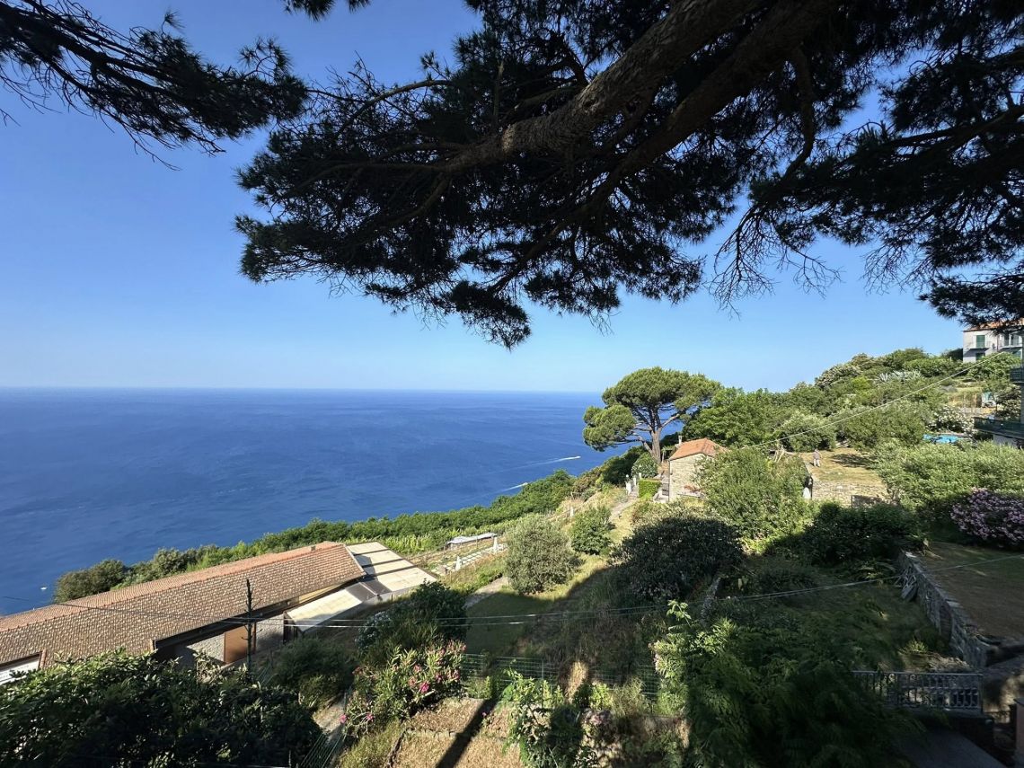 L' Antica Casetta di Campiglia | Campiglia - Case e ville - 5 Terre