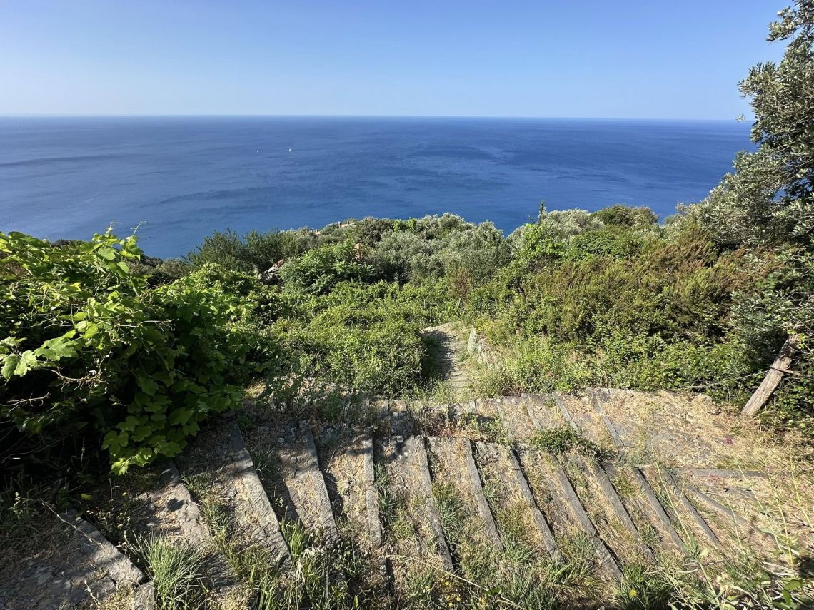 L' Antica Casetta di Campiglia | Campiglia - Case e ville - 5 Terre