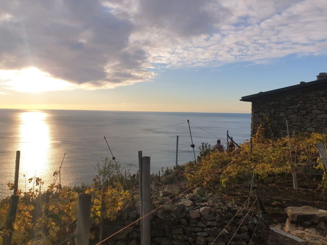 Antico Rustico Paradiso | Riomaggiore & Manarola - Casali & Rustici - 5 Terre