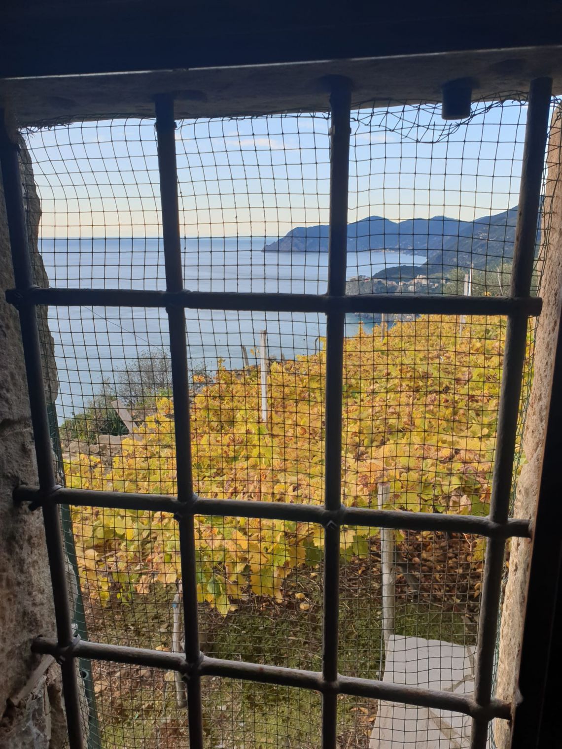 Antico Rustico Paradiso | Riomaggiore & Manarola - Casali & Rustici - 5 Terre