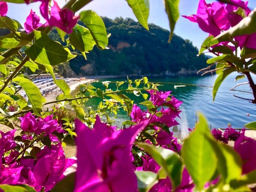 Blue Cove in Baia Blu  | Lerici/San Terenzo/Tellaro - Appartamenti - Golfo dei Poeti