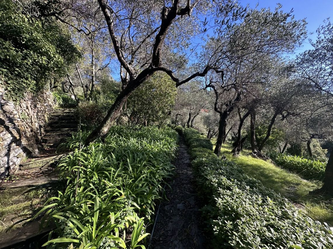 Antico Casale Portofino | Rapallo / Santa Margherita Ligure / Portofino - Case & Ville di Pregio - Golfo del Tigullio
