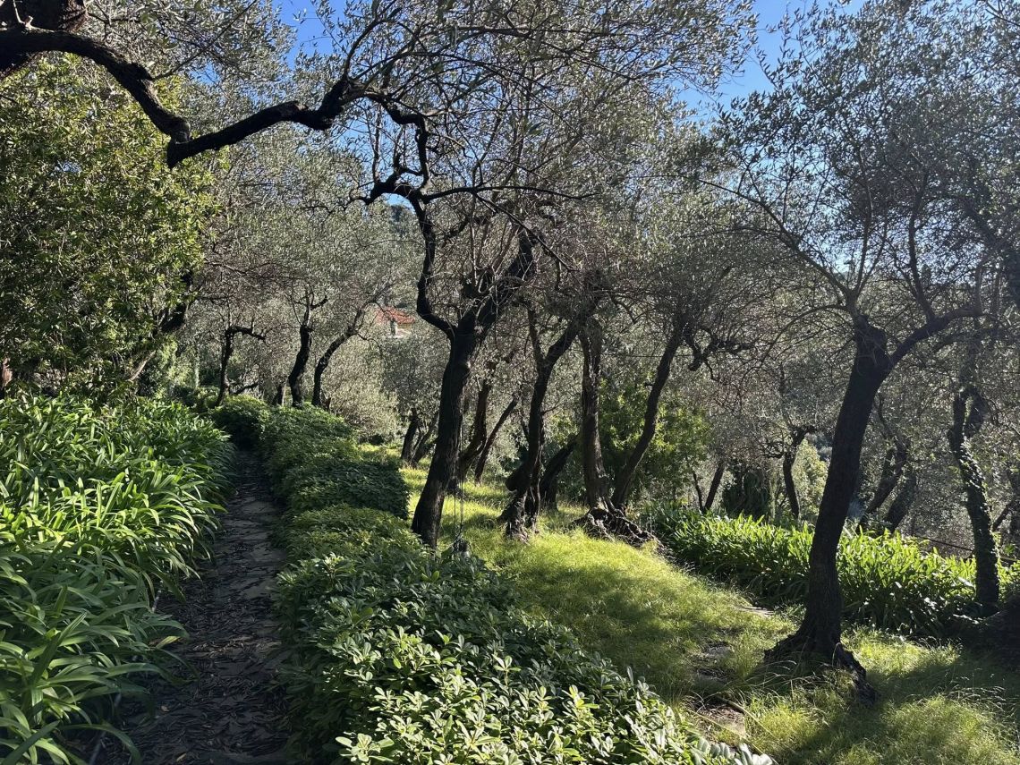 Antico Casale Portofino | Rapallo / Santa Margherita Ligure / Portofino - Case & Ville di Pregio - Golfo del Tigullio