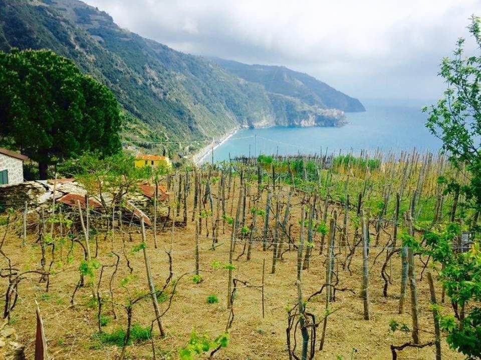 Antico Rustico Corniglia | Vernazza & Corniglia - Casali & Rustici - 5 Terre