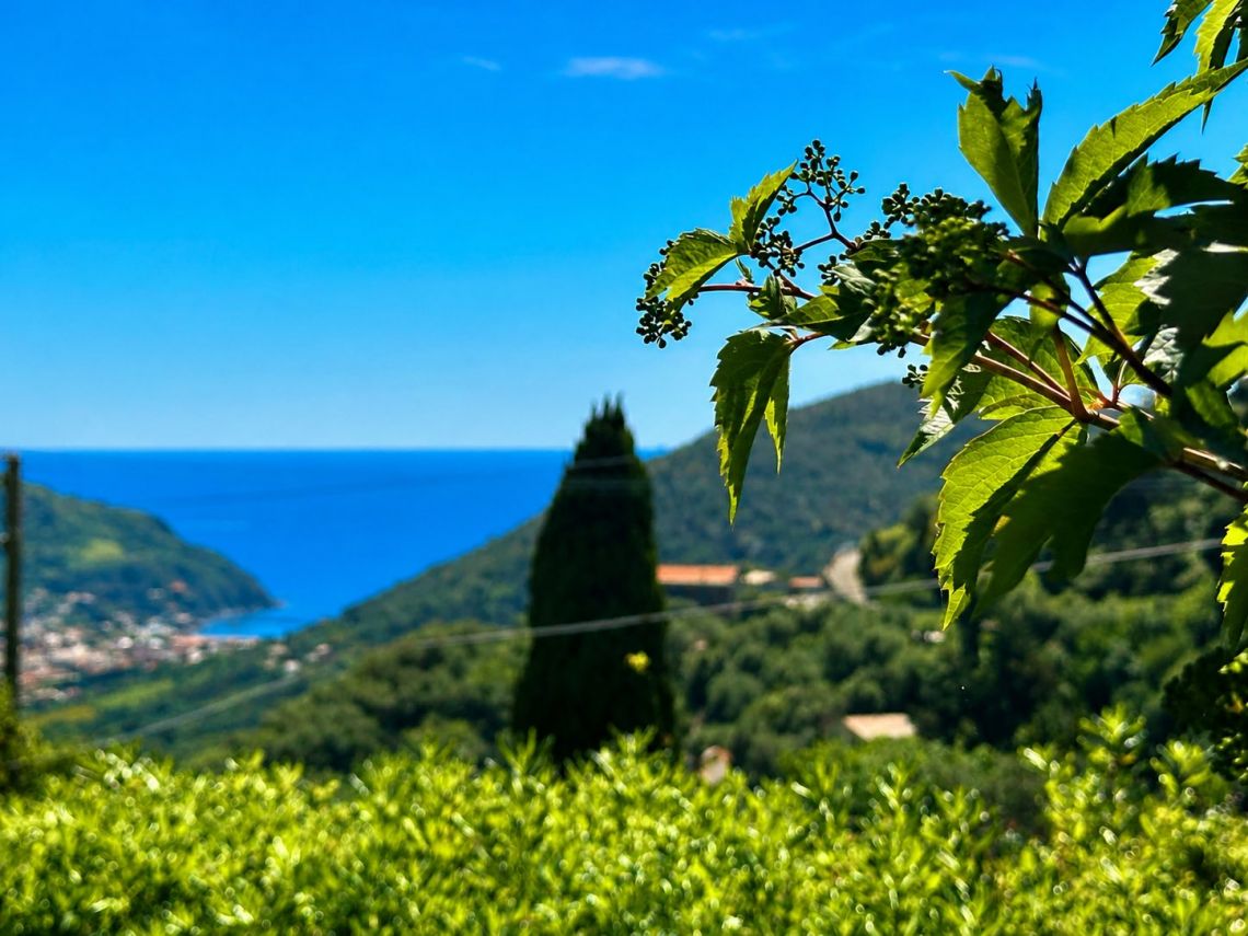 Il Villino dei Sogni | Levanto / Bonassola / Framura - Case e ville - Baie del Levante