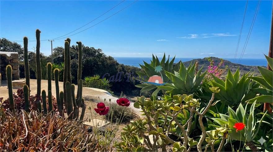 La Tenuta del Silenzio | Pantelleria - Case e ville - Isole della Sicilia