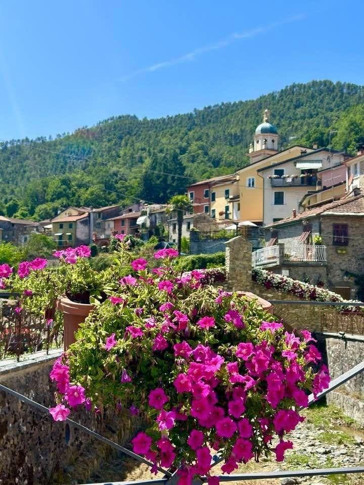 Il Rifugio Fresco Mare  | Monterosso al mare - Appartamenti - 5 Terre