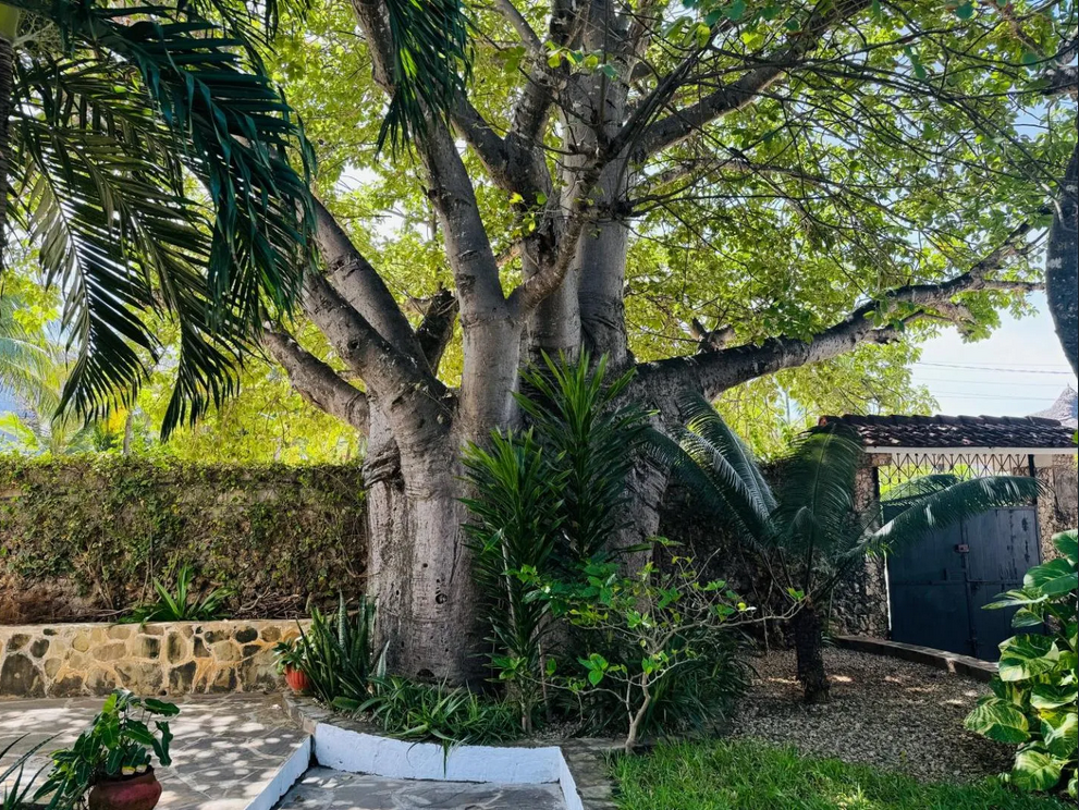 Villa Taste Itay Watamu | Watamu - Case e ville - Kenya & Zanzibar