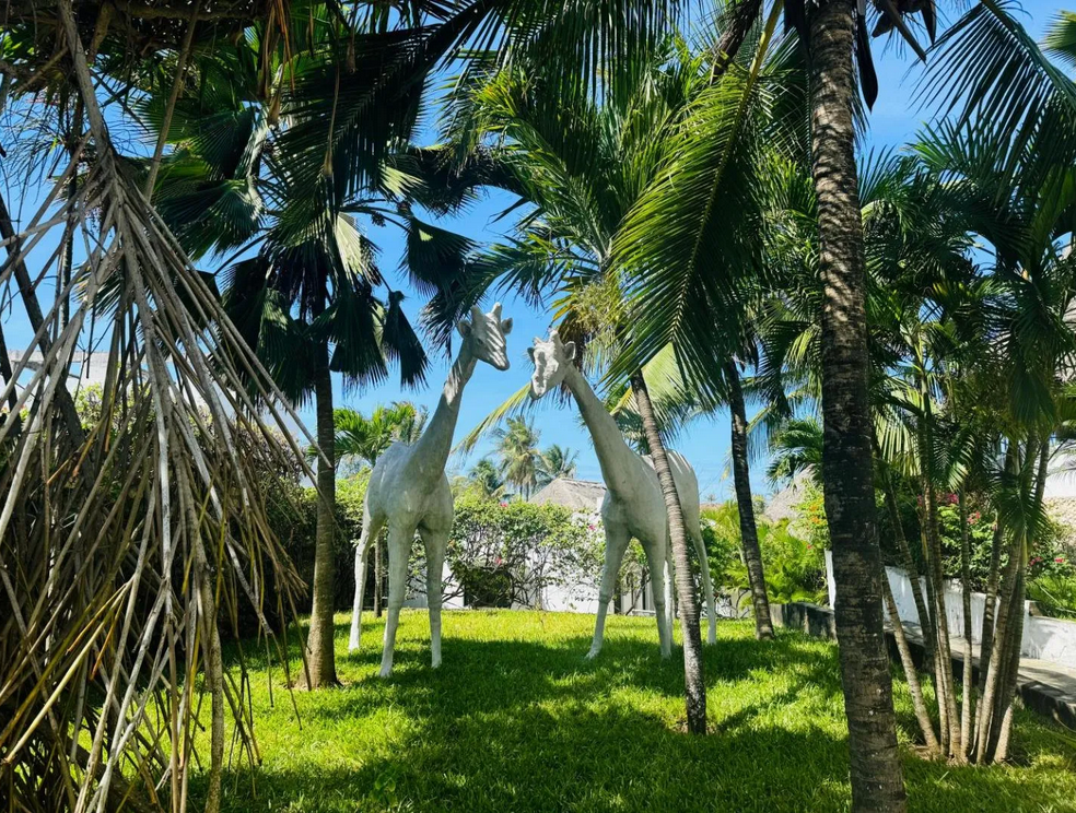 Villa Taste Itay Watamu | Watamu - Case e ville - Kenya & Zanzibar