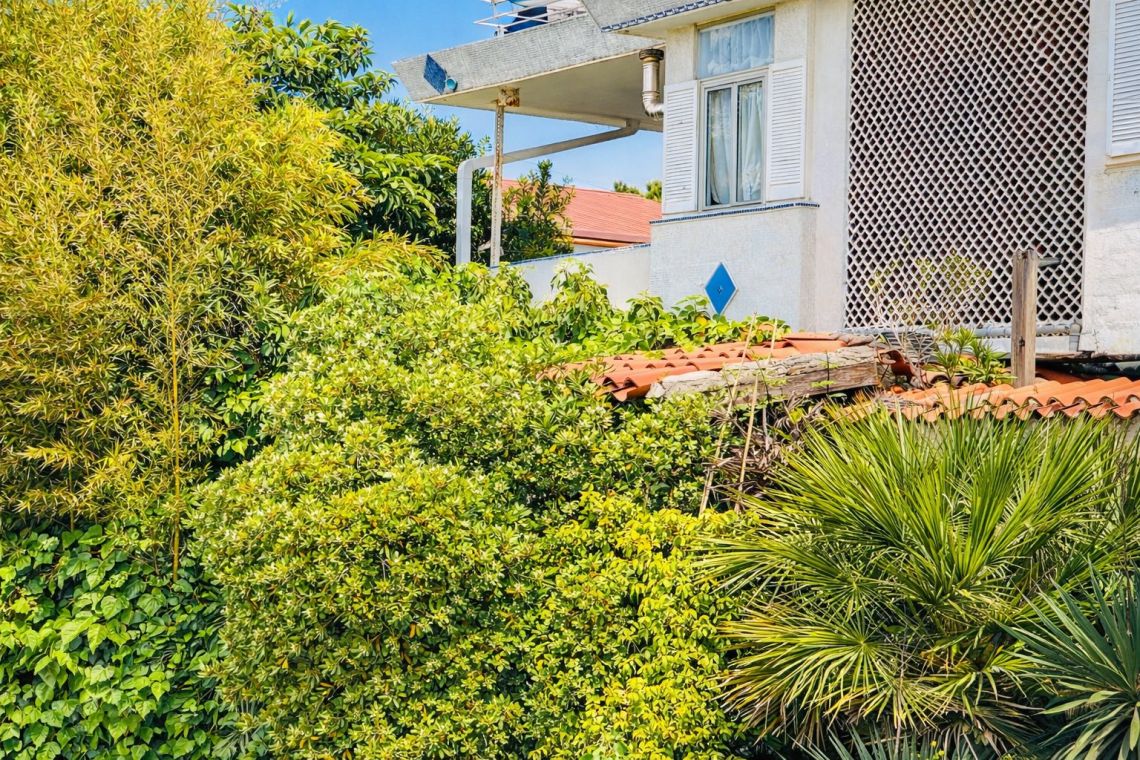 Appartamento Alta Marea | Marina di Massa / Ronchi / Marina di Carrara - Appartamenti - Riviera Apuana