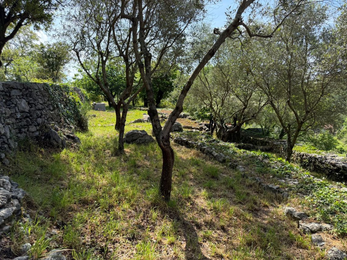 Sogno sul Golfo dei Poeti | Lerici/San Terenzo/Tellaro - Case e ville - Golfo dei Poeti