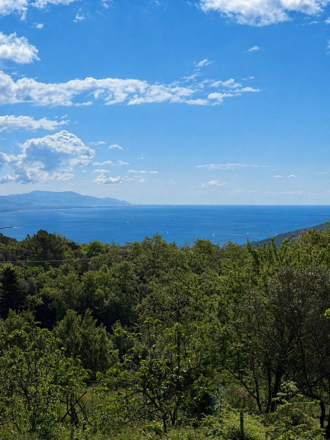 Sogno sul Golfo dei Poeti | Lerici/San Terenzo/Tellaro - Case e ville - Golfo dei Poeti