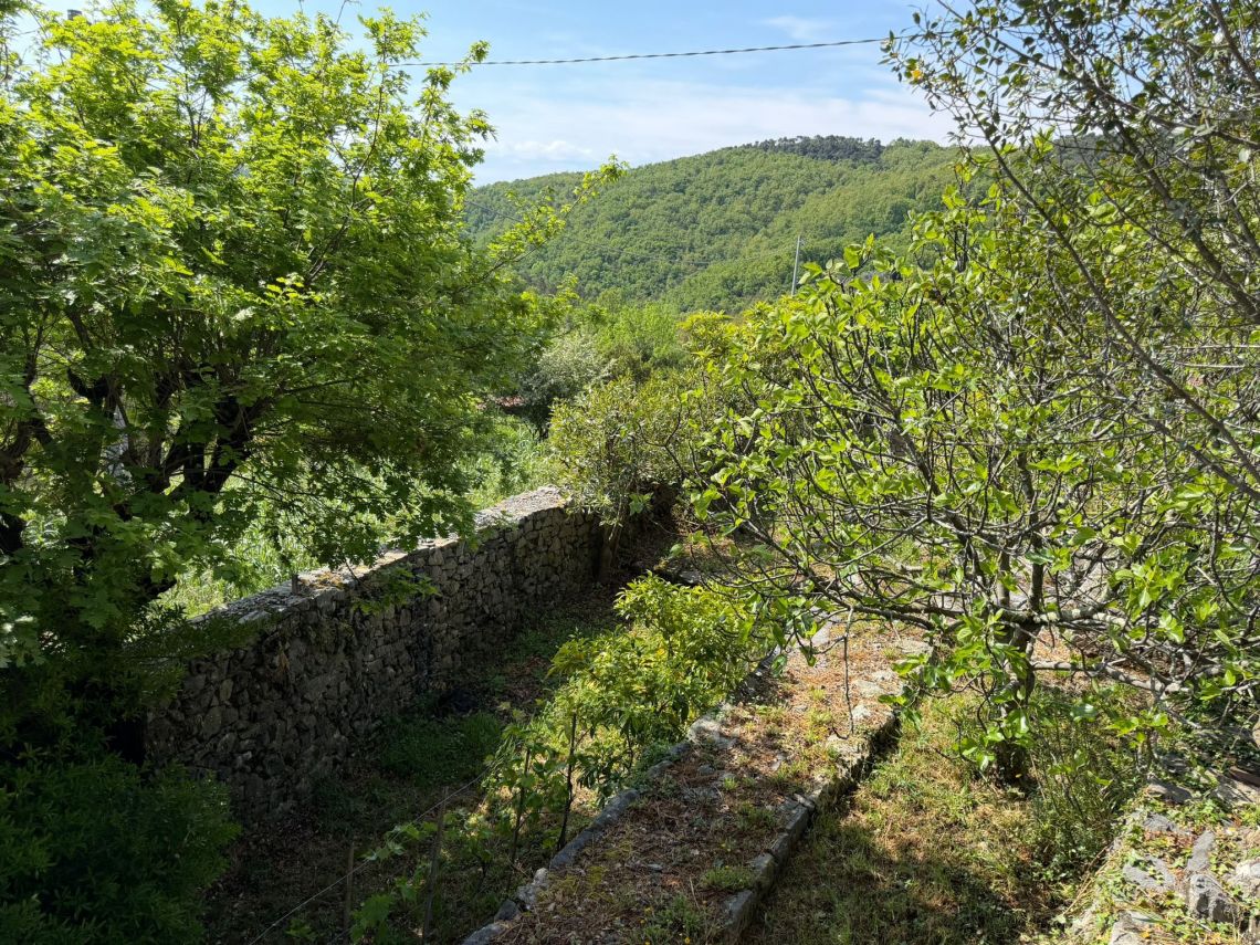 Sogno sul Golfo dei Poeti | Lerici/San Terenzo/Tellaro - Case e ville - Golfo dei Poeti