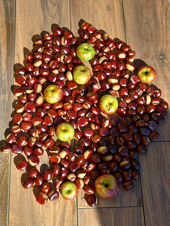 Villa il Poggio | Lunigiana Mare - Case e ville - Lunigiana mare, Sarzana & Colline del Sole