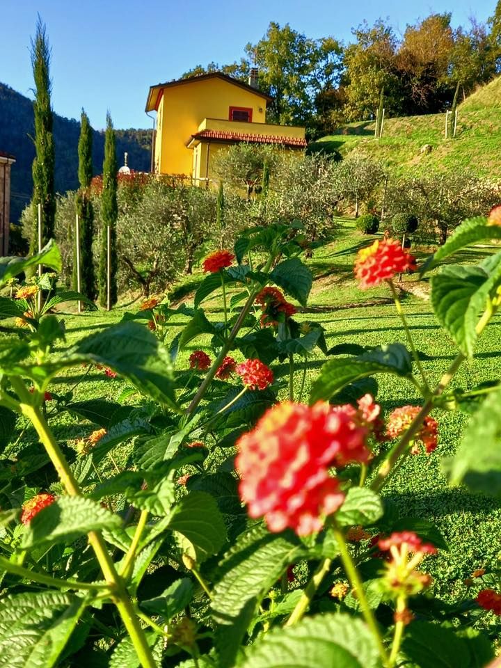 Villa il Poggio | Lunigiana Mare - Case e ville - Lunigiana mare, Sarzana & Colline del Sole