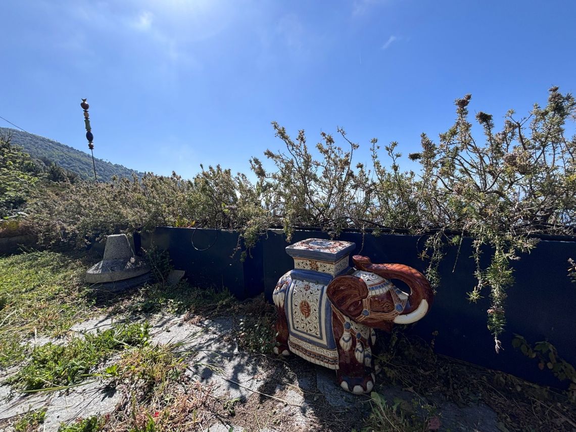 IL Rustico dove Vivono gli Angeli | Riomaggiore & Manarola - Case e ville - 5 Terre