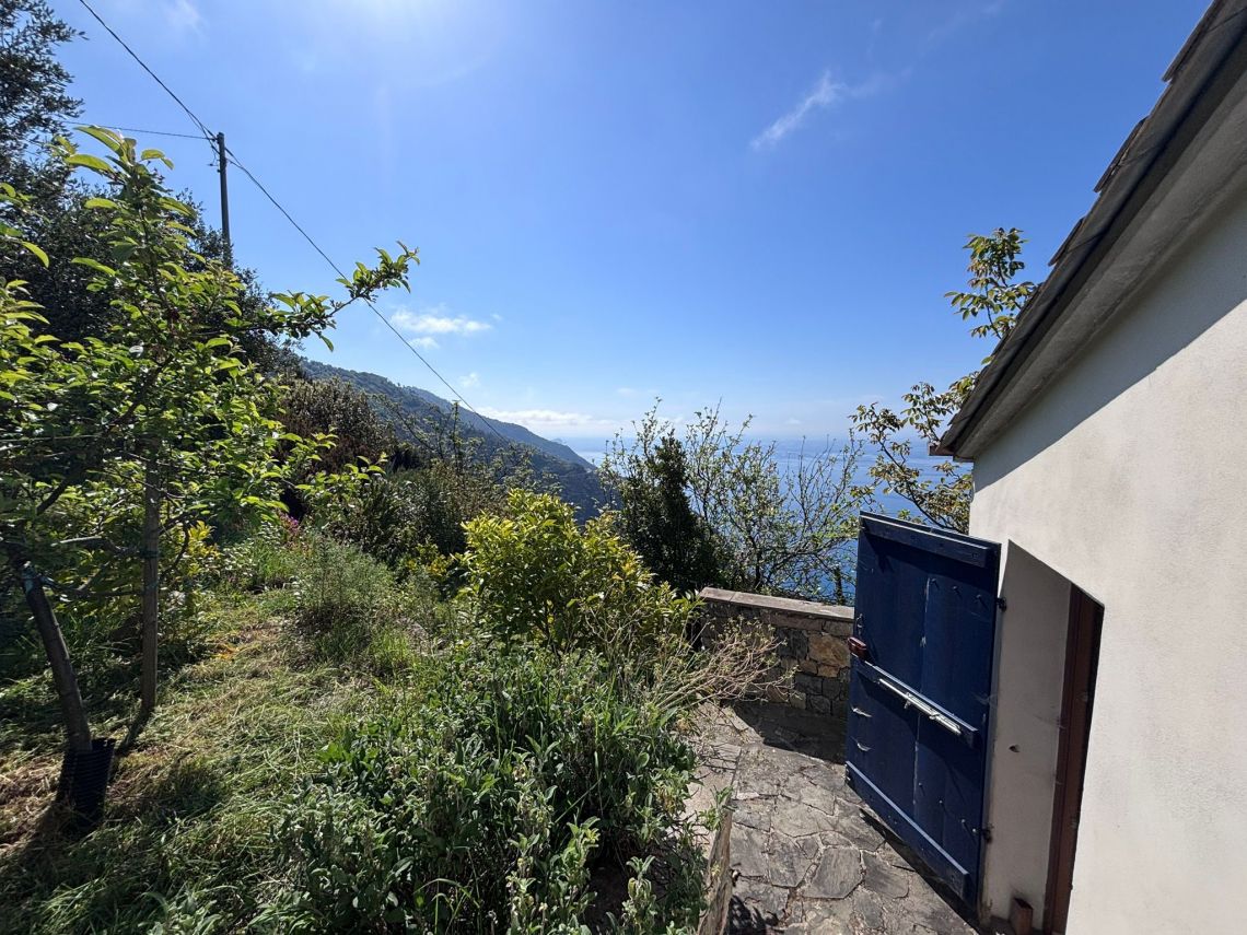 IL Rustico dove Vivono gli Angeli | Riomaggiore & Manarola - Case e ville - 5 Terre
