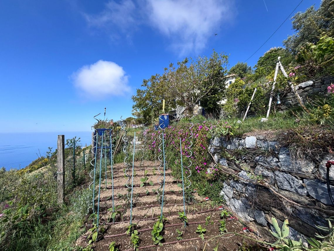IL Rustico dove Vivono gli Angeli | Riomaggiore & Manarola - Case e ville - 5 Terre