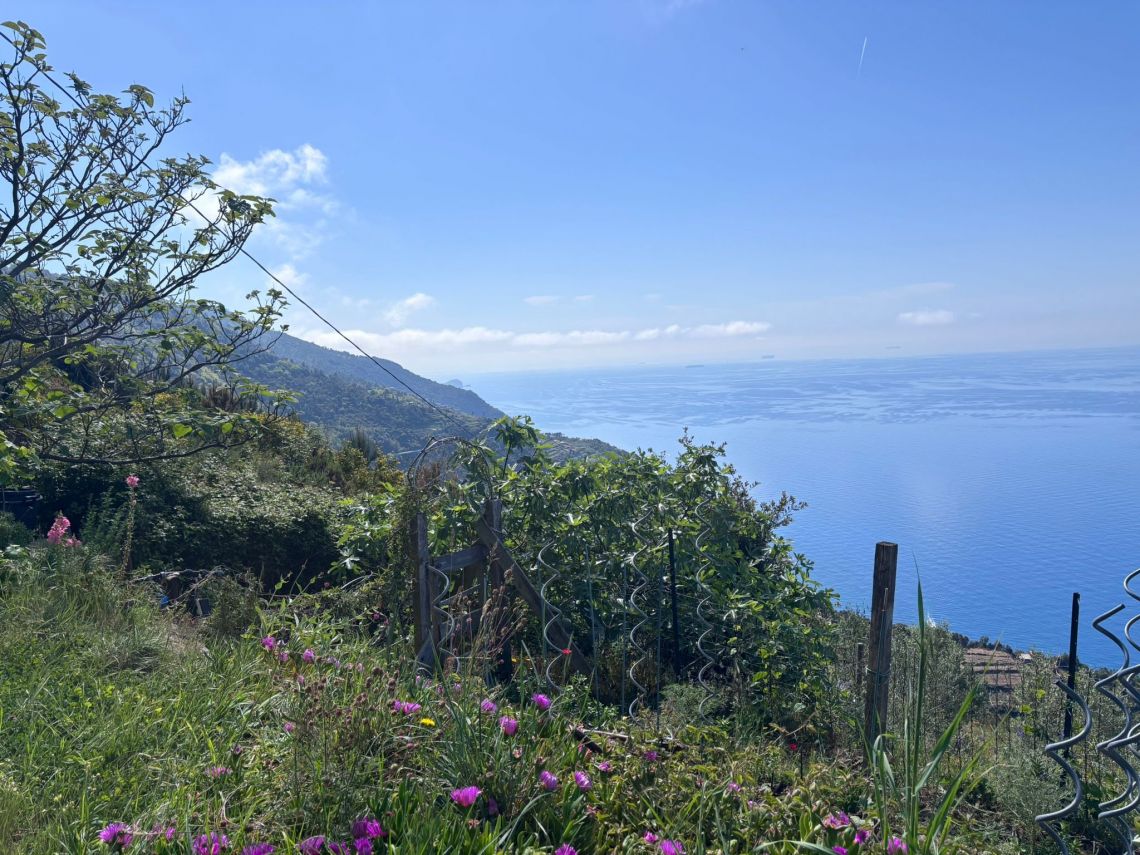 IL Rustico dove Vivono gli Angeli | Riomaggiore & Manarola - Case e ville - 5 Terre