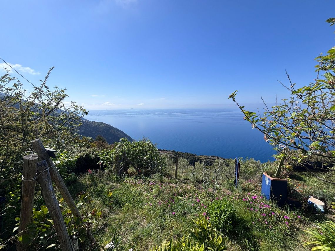 IL Rustico dove Vivono gli Angeli | Riomaggiore & Manarola - Case e ville - 5 Terre