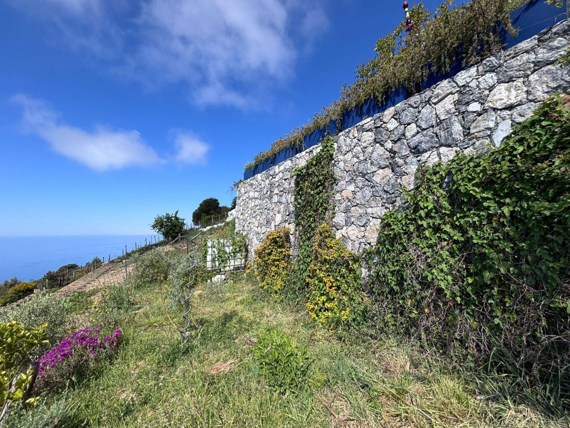 IL Rustico dove Vivono gli Angeli | Riomaggiore & Manarola - Case e ville - 5 Terre