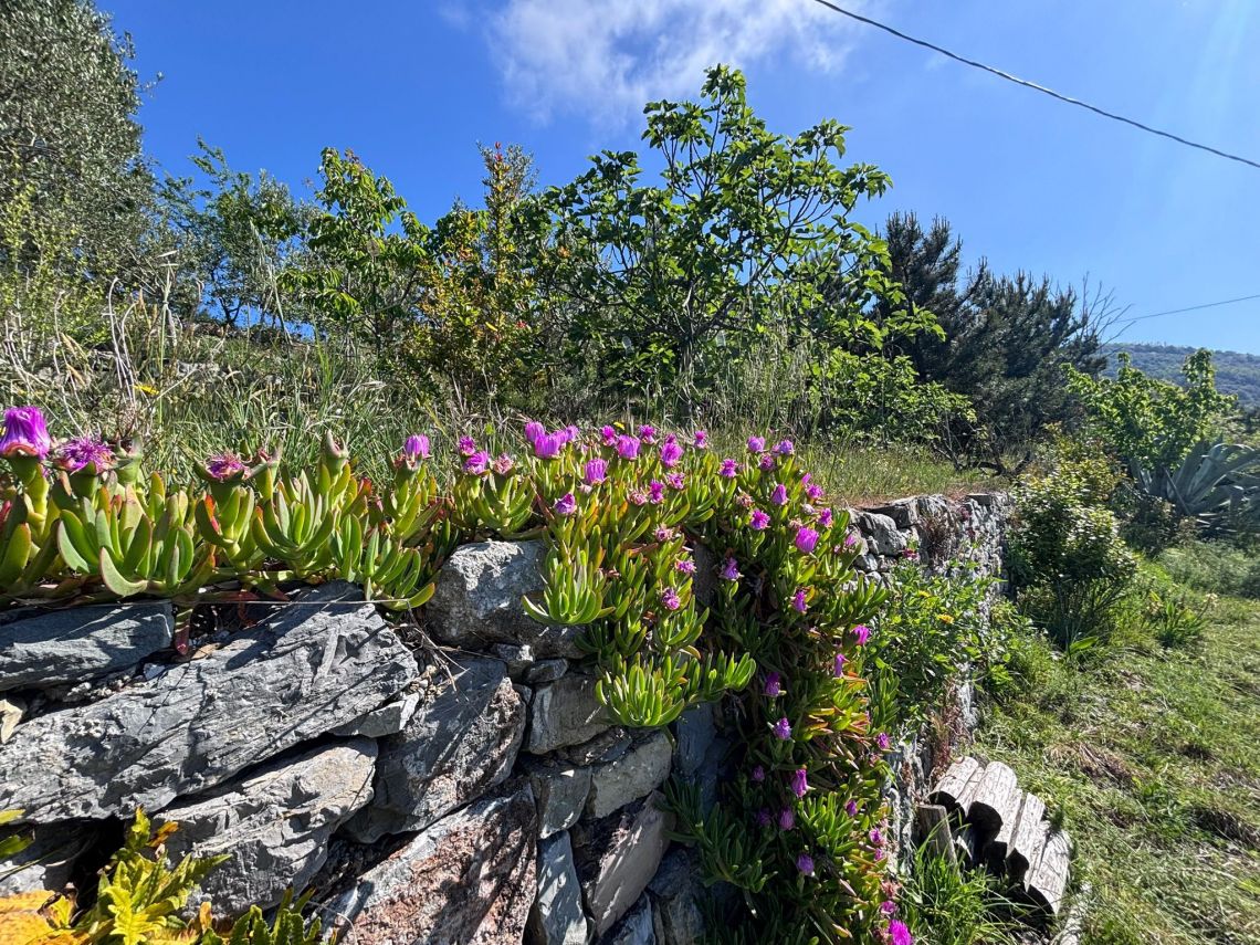 IL Rustico dove Vivono gli Angeli | Riomaggiore & Manarola - Case e ville - 5 Terre