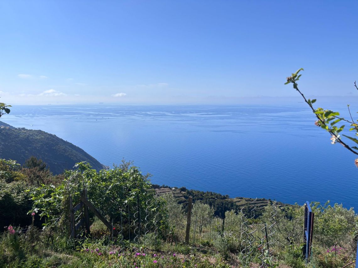 IL Rustico dove Vivono gli Angeli | Riomaggiore & Manarola - Case e ville - 5 Terre