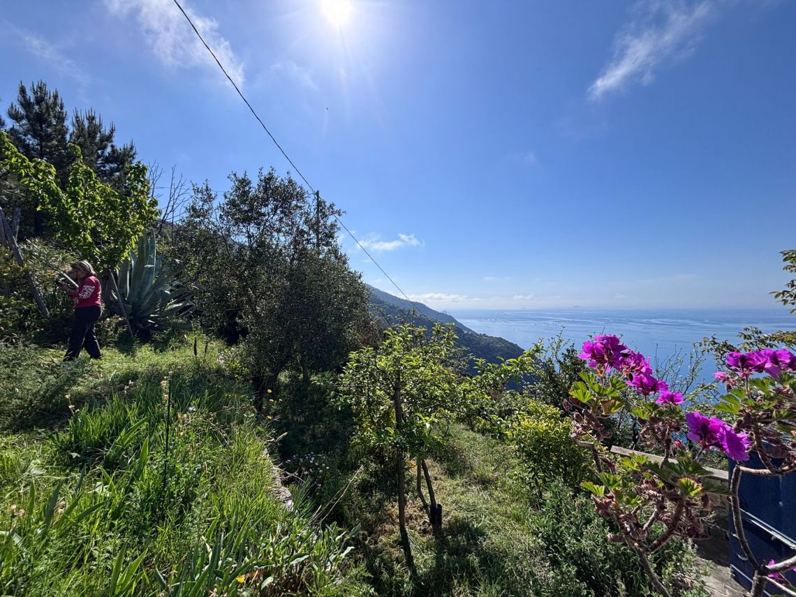 IL Rustico dove Vivono gli Angeli | Riomaggiore & Manarola - Case e ville - 5 Terre