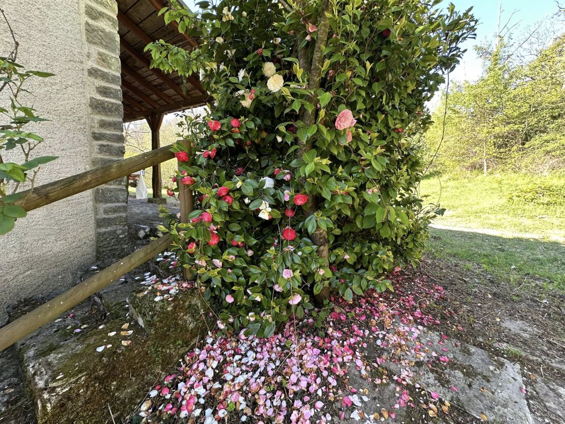 Poderetto Pra' del Prete  | Lunigiana Mare - Case e ville - Lunigiana mare, Sarzana & Colline del Sole