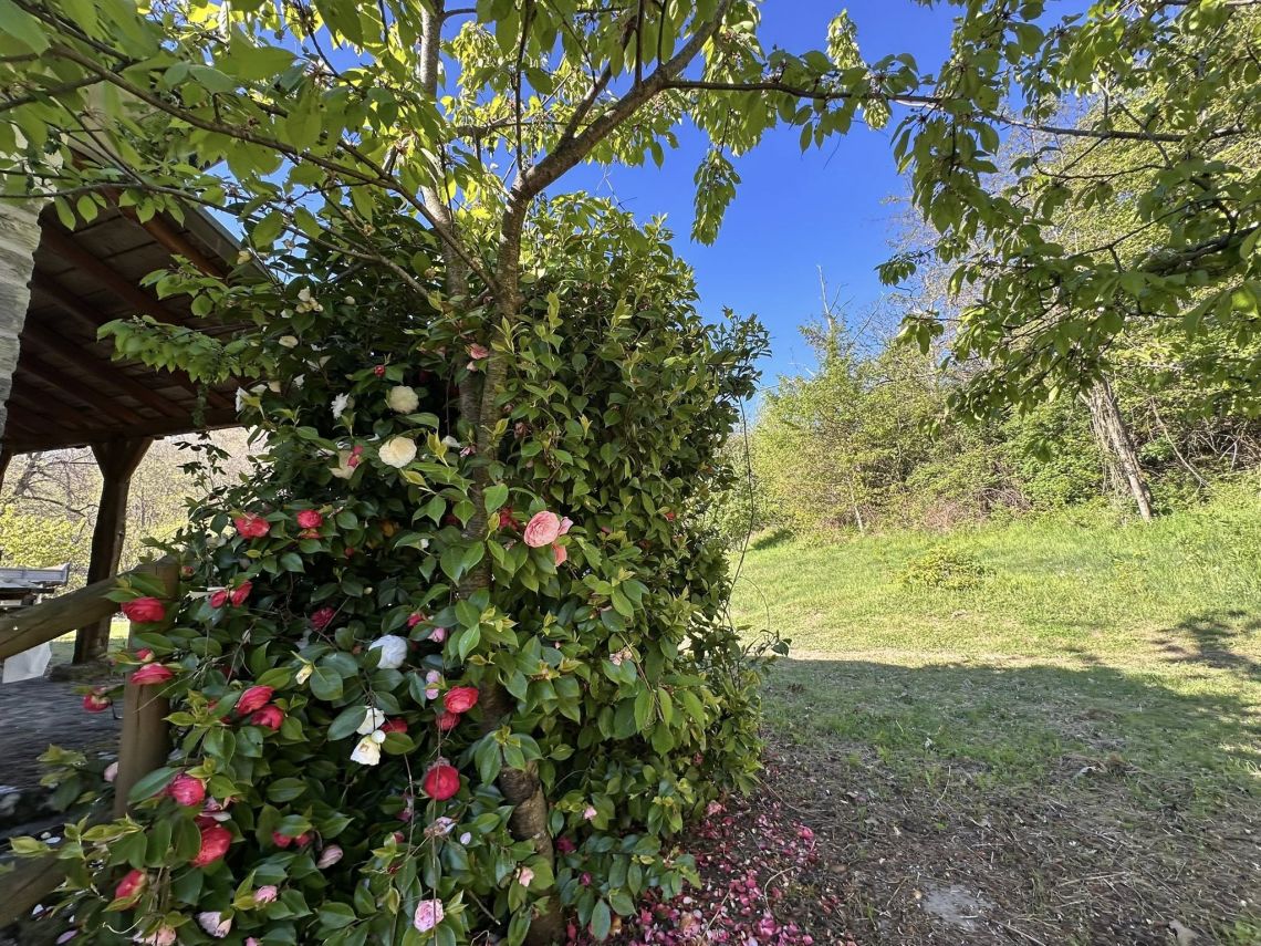 Poderetto Pra' del Prete  | Lunigiana Mare - Case e ville - Lunigiana mare, Sarzana & Colline del Sole