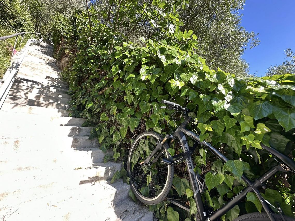 Paradiso su Cadimare | Porto Venere / Le Grazie / Fezzano / Ca' di Mare  - Appartamenti - Golfo dei Poeti
